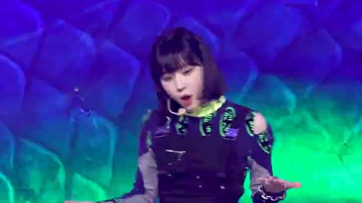 مرحباً بكم في مجالهم المطلق!