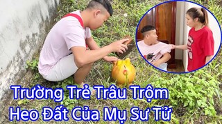 Thằng Cò Và Trường Trẻ Trâu Bày Mưu Lấy T.r.ộ.m Heo Đất Của Mụ Sư Tử Và Cái Kết