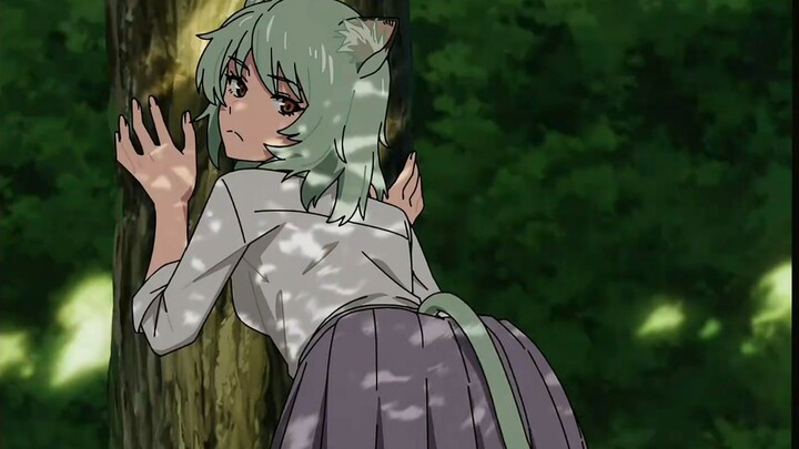 [Niku MiaoMiao] If you had to marry a catgirl, who would you choose?