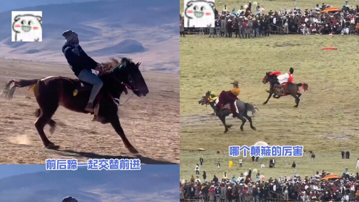 People doing the "ren shun guai" gag are funny, but a horse doing it is a rare BMW!