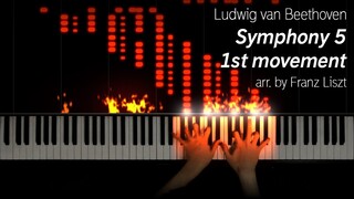 Beethoven/Liszt - Symphony 5 1st Movement (25k subs special)