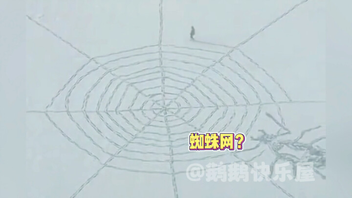 I heard this is a northerner waiting for his girlfriend to come out.