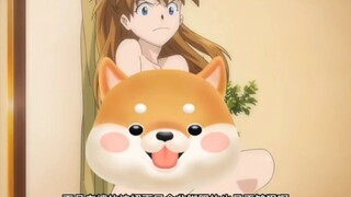 EVA the Movie: Break, Shinji, you are really a dog