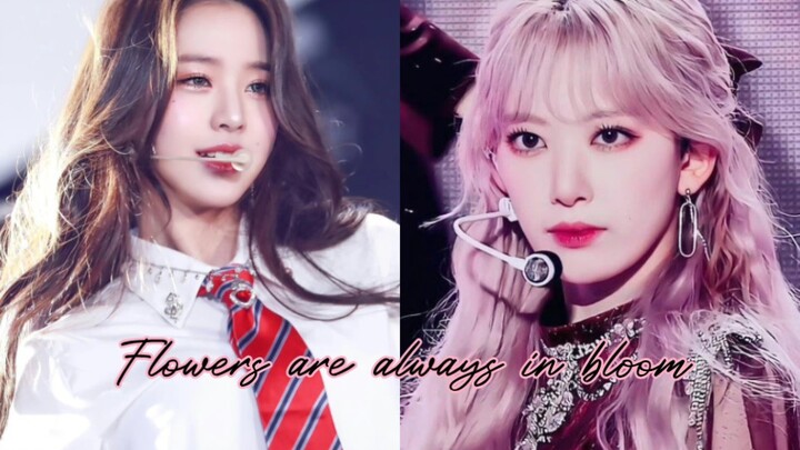 «مقطع مُجمَّع» 12 فتاة آيدول تكشف لك لماذا لم يتم بعد اختيار صاحبة الجمال الأسطوري التي تهيمن على ال