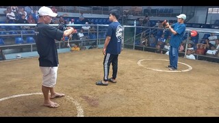 3x winner Goldi 1st fight 2hits