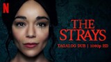 The Strays (2023) | Tagalog Dubbed | 1080p HD