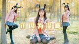 【柿子】正因为温暖☀秋日的肥肥兔子～