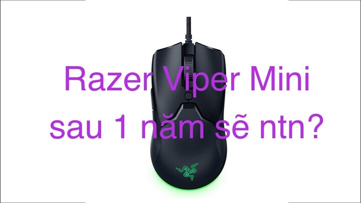 Đánh giá chuột gaming Razer Viper Mini sau 1 năm.