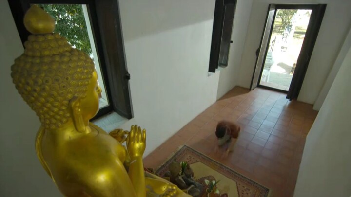 Payakkha (2561) CH8 EP.24 CR.VIU