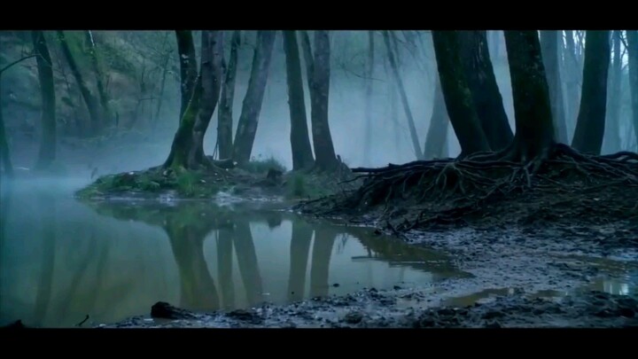 lovely nagin