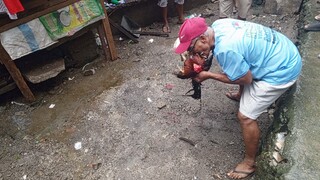 July 6 Kinagat ng sentensyador / Sabong kahit maulan