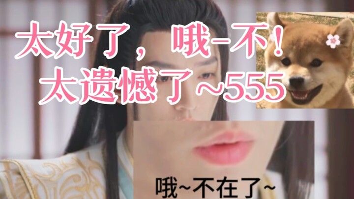 Biểu cảm của anh ấy như thể đang nói: Ồ~ Không còn nữa à~