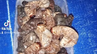 AdoBong bunLod