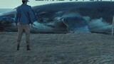「Original Blender full process tutorial」Stranded Blue Whale | Creating a realistic movie environment