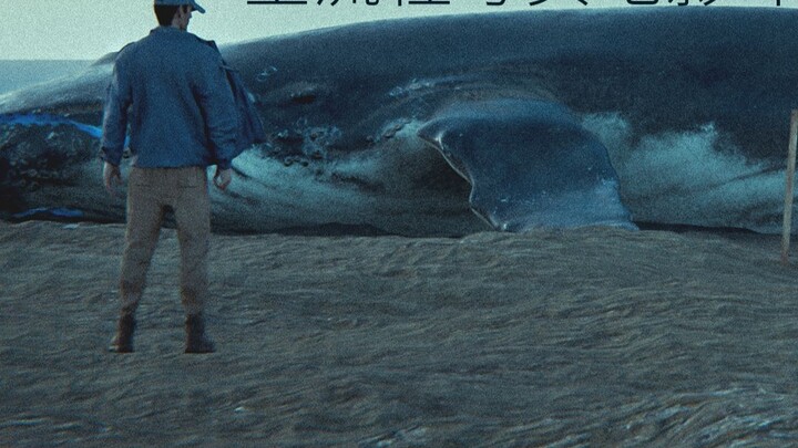 "Hướng dẫn toàn bộ quy trình Blender gốc" Cá voi xanh bị mắc kẹt Tạo môi trường phim chân thực ngay 