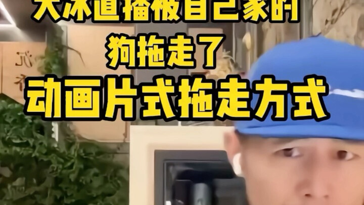 หนึ่งในฉากเด็ดจากการไลฟ์ของพี่น้ำแข็ง: ถูกสุนัขเซนต์เบอร์นาร์ดของตัวเองลากไปเลย!
