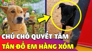 Kiên trì 'TRỒNG CÂY SI' trước nhà nàng, chú chó đen SẦU TÌNH vì tán mãi em 'KHÔNG CHỊU ĐỔ' 😂 Gâu Đần