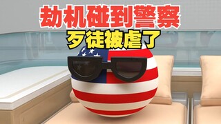 劫机碰到一窝警察？这是多倒霉啊【波兰球】