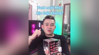 Seri Rì viu tank cho các bạn LearnOnTikTok dongvat nuoikien thucung namcuongkien dcgr