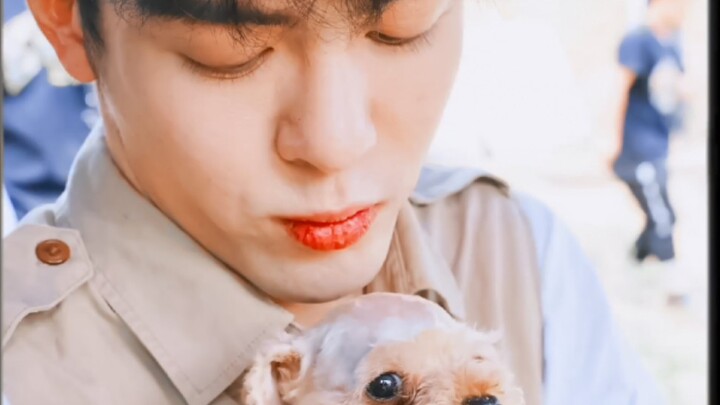 【وو شيه】هيا بنا! أنت لا تتخيل مقدار السعادة التي يشعر بها الأخ دازهانغ!