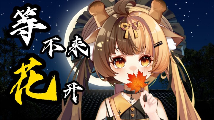 Bài hát nghe là ghiền ngay lập tức: “Chẳng đợi được hoa nở”