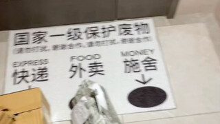 现在的地毯都这么了解年轻人了吗？？