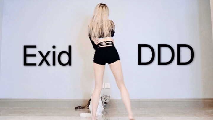 【หวาน】Exid-DDD เวอร์ชั่นฝึกขโมยฉากแมว