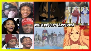 Whitebeard's Fleet Arrives for Ace! One Piece Reaction Mashup (460)