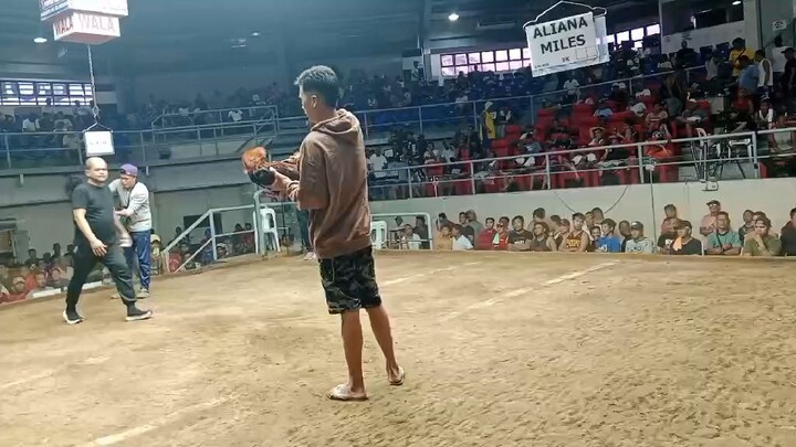 2hits ulutan first fight