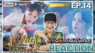 【REACTION】[EP.14] เนรมิตฝันแดนหย่งอัน (พากย์ไทย) Yong An Dream [永安梦] | WeTVxมีเรื่องแชร์