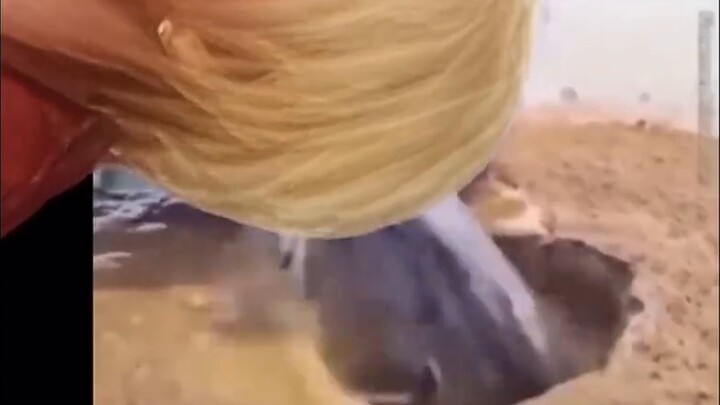 คุณพร้อมสำหรับคอมโบ Light Wings ของฉันแล้วหรือยัง? - -