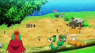 Chân dung gia đình Pokémon của Xiaozhi (Không có phiên bản nào không có Xiaozhi)