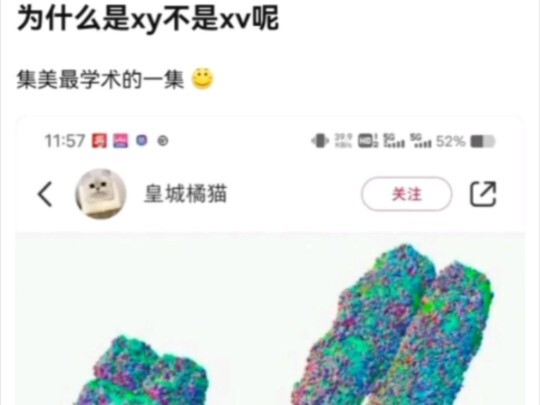 XXN’s mind-blowing question: Why are chromosomes XY instead of XV?