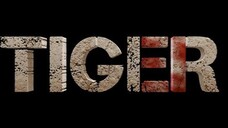 Tiger 3 Hindi Full Movie