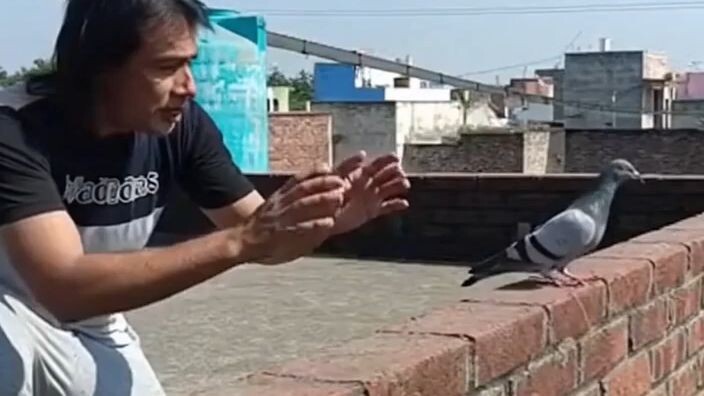entertainment video