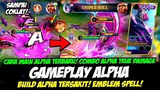 CARA MAIN ALPHA TERBARU❗COMBO ALPHA EXP LANE AUTO MVP❗BUILD ALPHA TERSAKIT❗GAMEPLAY ALPHA TOP GLOBAL