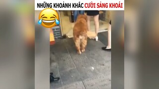 Những khoảnh khắc cười sảnh khoái#2