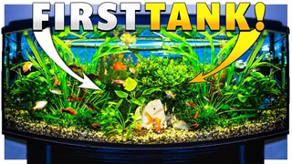 FIRST TANK // Building an Aquarium From Scratch // Aquarist Gameplay // DEMO
