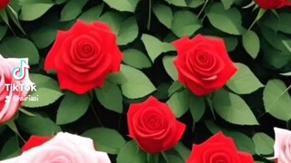 Flowers for you!