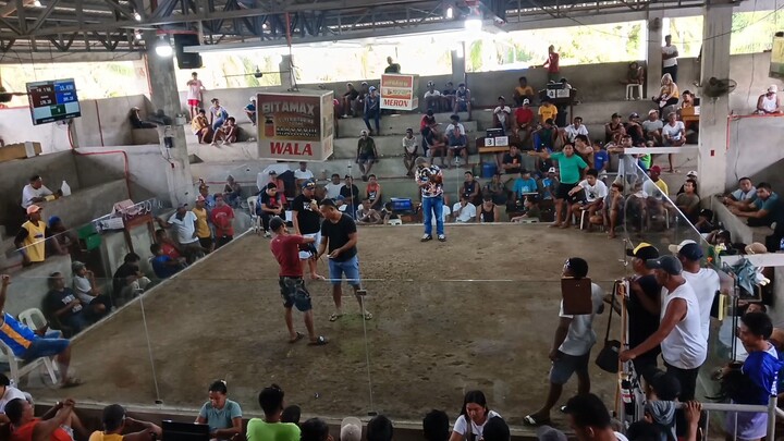 Gull x Claret (4th fight) LOSE na sya.. San Andres Quezon Province Cockpit.!