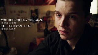 【Gallavich】你在肌肤下，骨血里，纠缠成我的每一寸痛苦与欢愉，是我全部的温柔与执着