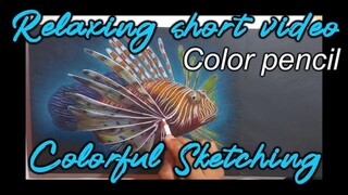 How to draw a beautiful and cute fish + Black Paper | Colorful Lionfish sketching