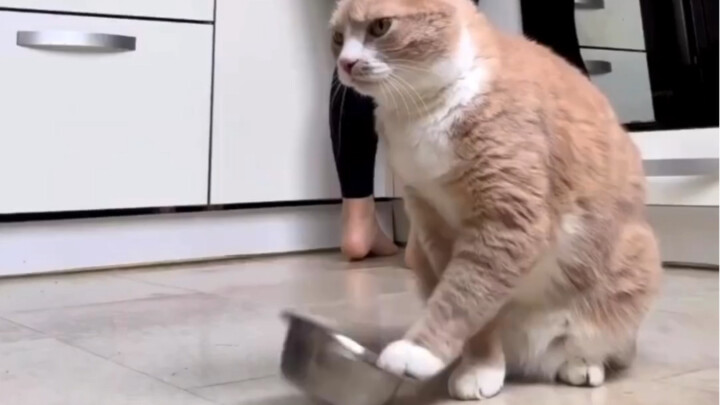 Bụng mẹ đói đói