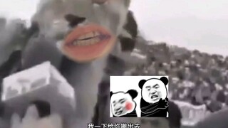 狮子：我给你苗一声？