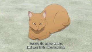 gara" kucing jadi salah paham