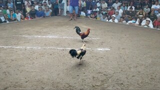 MCCA 3Hits Ulutan 11/22 2nd Fyt