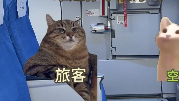 แอร์โฮสเตส: คุณควรจะคุยเรื่องแปรงสีฟันดีกว่า