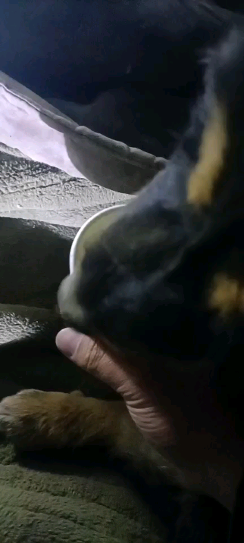 Sudah bisa minum air meski masih mengantuk, sepertinya tidak terlalu bermasalah lagi