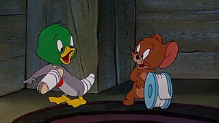 【ทอมกับเจอร์รี่】☝🤓 The Duckling Cure (1952)⚡⚡⚡