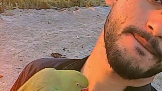 Beautiful Parrot on My shoulder